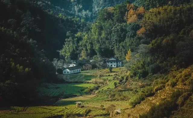 乡村振兴中的“篁岭模式”!保护了生态,传承了文化,带富了百姓(图4) 乡村振兴中的“篁岭模式”!保护了生态,传承了文化,带富了百姓(图4)