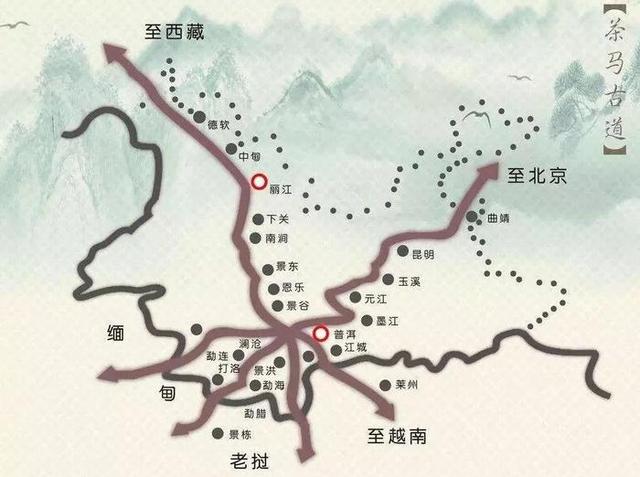 这个四川人，让川茶征服了联合国(图6)