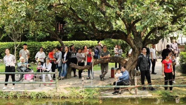 三月三·快闪民歌演绎当代壮乡情怀(图11) 三月三·快闪民歌演绎当代壮乡情怀(图11)