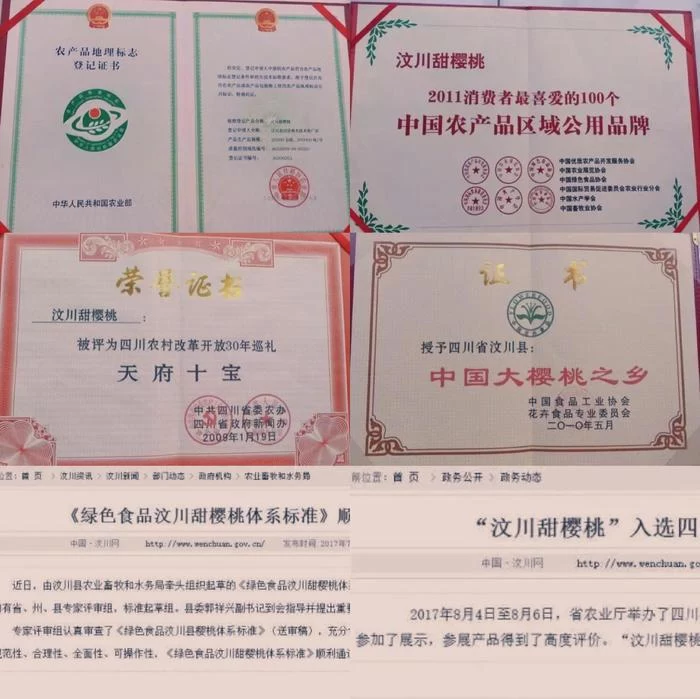 阿坝州的果果红了,你想吃汶川车厘子还是汶川甜樱桃?(图18) 阿坝州的果果红了,你想吃汶川车厘子还是汶川甜樱桃?(图18)