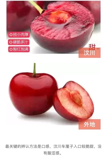 阿坝州的果果红了,你想吃汶川车厘子还是汶川甜樱桃?(图28) 阿坝州的果果红了,你想吃汶川车厘子还是汶川甜樱桃?(图28)