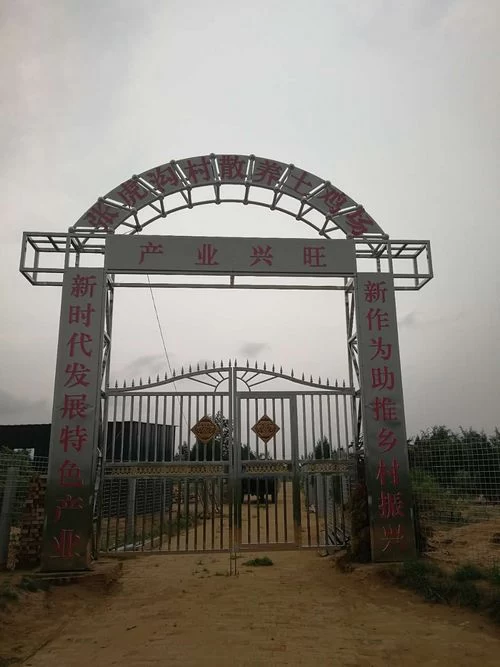 陕北榆阳麻黄梁镇:打实乡村振兴“厚底子” 拓宽脱贫致富“新路子”(图1) 陕北榆阳麻黄梁镇:打实乡村振兴“厚底子” 拓宽脱贫致富“新路子”(图1)