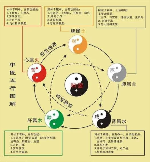 中医考研中医基础理论背诵歌诀!(图1) 中医考研中医基础理论背诵歌诀!(图1)