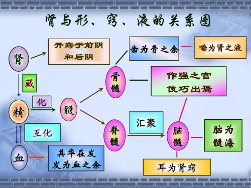 中医考研中医基础理论背诵歌诀！(图4)