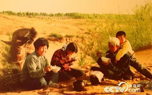 “治沙英雄”牛玉琴:70年人生的变与不变(图2) “治沙英雄”牛玉琴:70年人生的变与不变(图2)