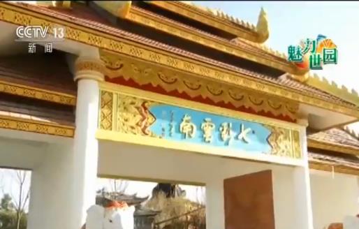 魅力世园会：34个展园打造“中华园艺展示区”(图4)