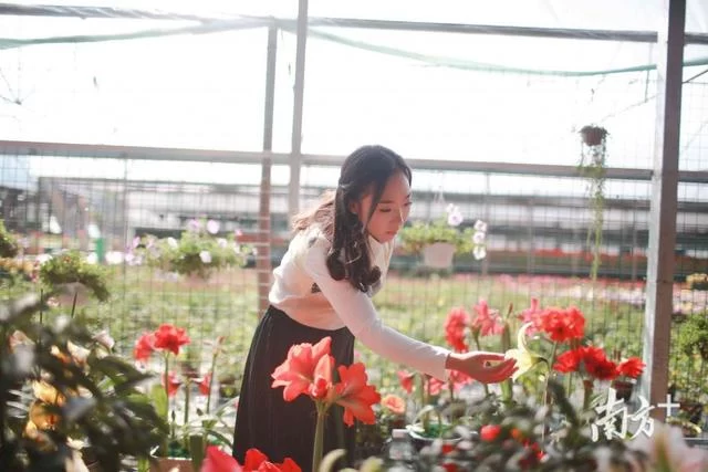 80后东莞花农,人生像兰花一样绽放(图4) 80后东莞花农,人生像兰花一样绽放(图4)