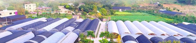 80后东莞花农,人生像兰花一样绽放(图5) 80后东莞花农,人生像兰花一样绽放(图5)