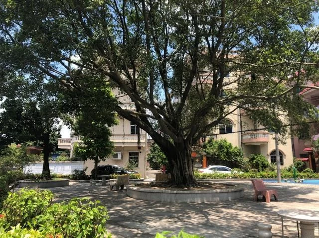 美丽如画的东莞鳌峙塘社区(图5) 美丽如画的东莞鳌峙塘社区(图5)