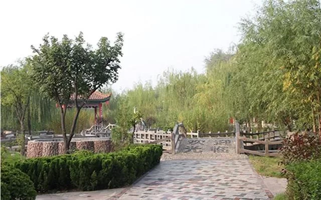 春暖花开 疫情尽散 春游去吧!(图13) 春暖花开 疫情尽散 春游去吧!(图13)
