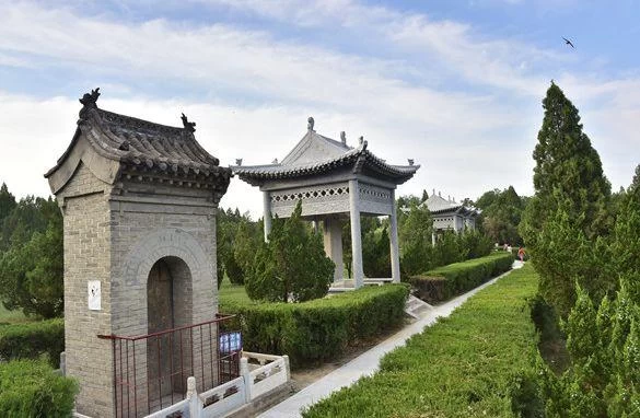 春暖花开 疫情尽散 春游去吧!(图24) 春暖花开 疫情尽散 春游去吧!(图24)