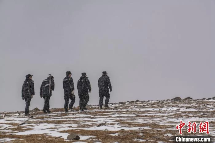 图为可可西里巡山队在野外巡护。可可西里管理处供图 青海可可西里境内首次用红外相机捕捉到雪豹影像(图3)