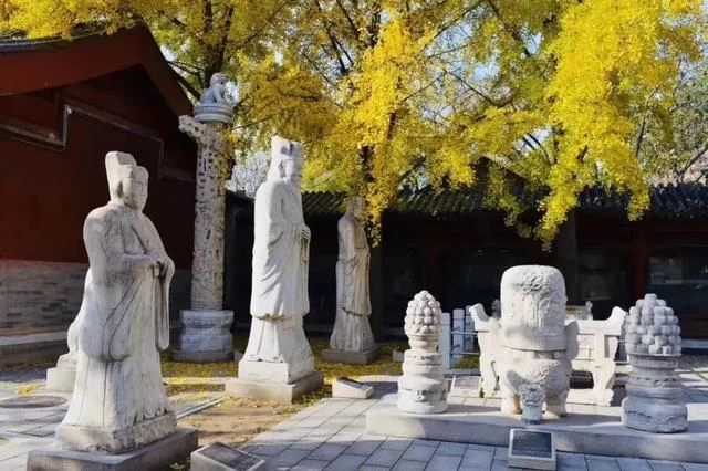 读城行动|行走4大文化遗产地,云直播带您3D体验北京古都文化(图18) 读城行动|行走4大文化遗产地,云直播带您3D体验北京古都文化(图18)