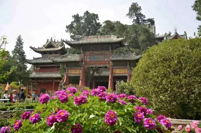 山西运城百花节:“美丽乡村”带来“美丽经济”(图1) 山西运城百花节:“美丽乡村”带来“美丽经济”(图1)