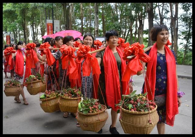 “红土荔香书岭南”东莞大岭山荔香文化展将启幕(图7) “红土荔香书岭南”东莞大岭山荔香文化展将启幕(图7)