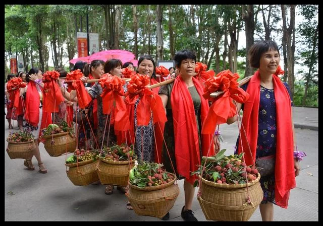 “红土荔香书岭南”东莞大岭山荔香文化展6月10日开幕(图12) “红土荔香书岭南”东莞大岭山荔香文化展6月10日开幕(图12)