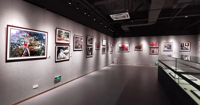 “红土荔香书岭南”东莞大岭山荔香文化展6月10日开幕(图13) “红土荔香书岭南”东莞大岭山荔香文化展6月10日开幕(图13)