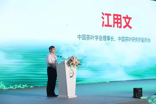 时代匠造——亮相全国茶业首展 四川茶博会(图6) 时代匠造——亮相全国茶业首展 四川茶博会(图6)