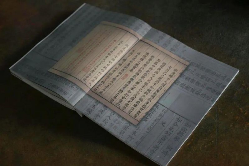 永不过时的黑白艺术，《又见老虎》新书签售会在上海举办(图5)