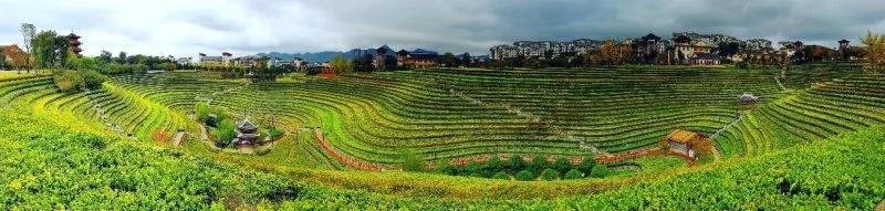 “乌蒙见证”——诗人走进毕节创作采风助力脱贫攻坚(图5) “乌蒙见证”——诗人走进毕节创作采风助力脱贫攻坚(图5)