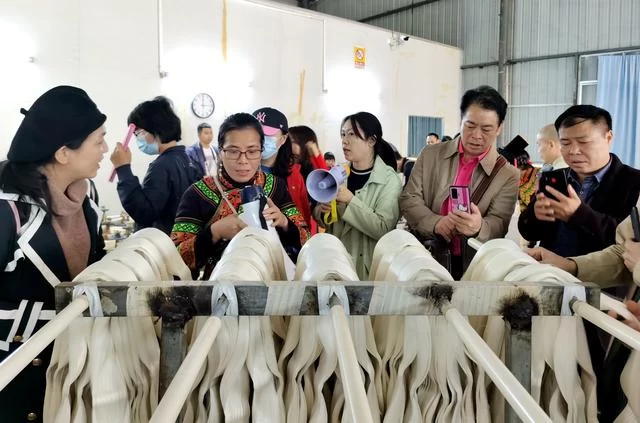 用有温度的作品助力脱贫攻坚——广西、百色两级文联组织作家赴隆林采风侧记(图12) 用有温度的作品助力脱贫攻坚——广西、百色两级文联组织作家赴隆林采风侧记(图12)