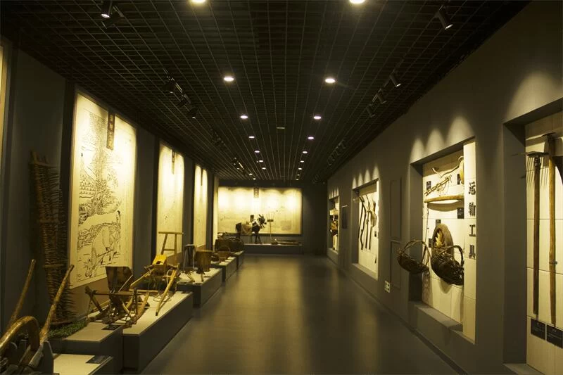 山西忻州:“小杂粮”谱写农业高质量发展“大文章”(图4) 山西忻州:“小杂粮”谱写农业高质量发展“大文章”(图4)