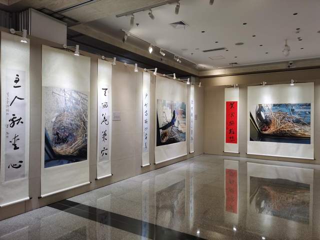 王振书法展“绿水青山”巨幅大字受好评(图4)