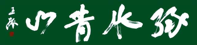 王振书法展“绿水青山”巨幅大字受好评(图18)