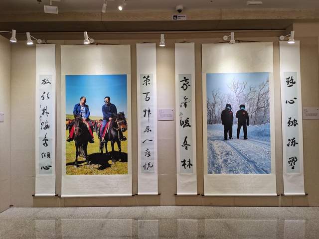 王振书法展“绿水青山”巨幅大字受好评(图20)