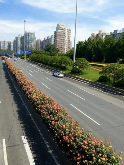 战“疫”东城丨许你一路繁花(图1) 战“疫”东城丨许你一路繁花(图1)