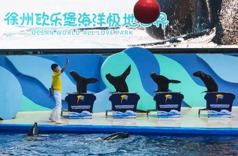 长假七天这样玩,徐州市文广旅局邀您国庆黄金周游徐州(图8) 长假七天这样玩,徐州市文广旅局邀您国庆黄金周游徐州(图8)