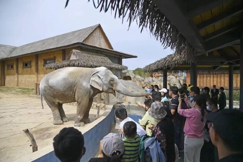 长假七天这样玩，徐州市文广旅局邀您国庆黄金周游徐州(图10)