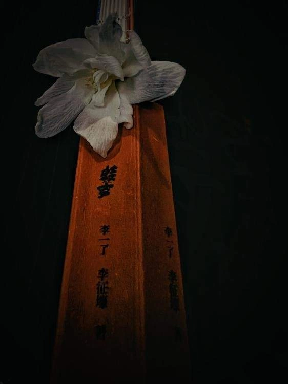 一本属于心灵漫步的枕边书——青弘诗文集《蛙声》正式出版(图3) 一本属于心灵漫步的枕边书——青弘诗文集《蛙声》正式出版(图3)