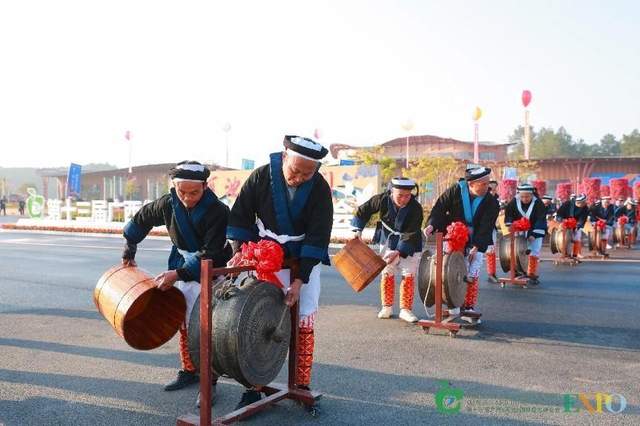 河池文旅亮相第十三届广西（河池）园林园艺博览会展多彩风姿(图4)