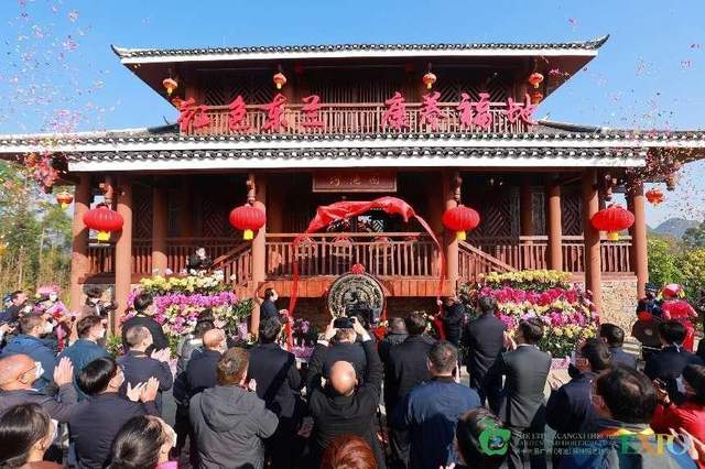 河池文旅亮相第十三届广西（河池）园林园艺博览会展多彩风姿(图10)