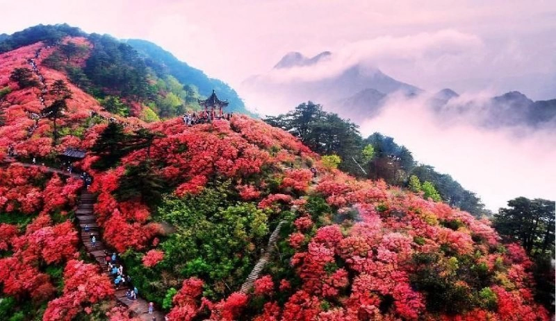 心安黄冈即远方(图5) 心安黄冈即远方(图5)