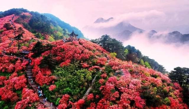 大别山畅想——写在黄冈大别山世界地质公园揭碑开园四周年(图4) 大别山畅想——写在黄冈大别山世界地质公园揭碑开园四周年(图4)