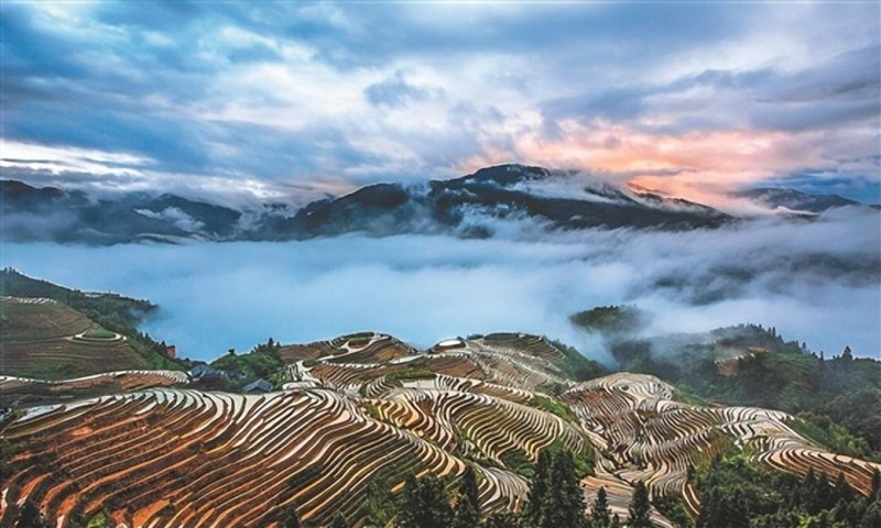 从荒野走向世界：龙脊梯田的华丽转身(图2)