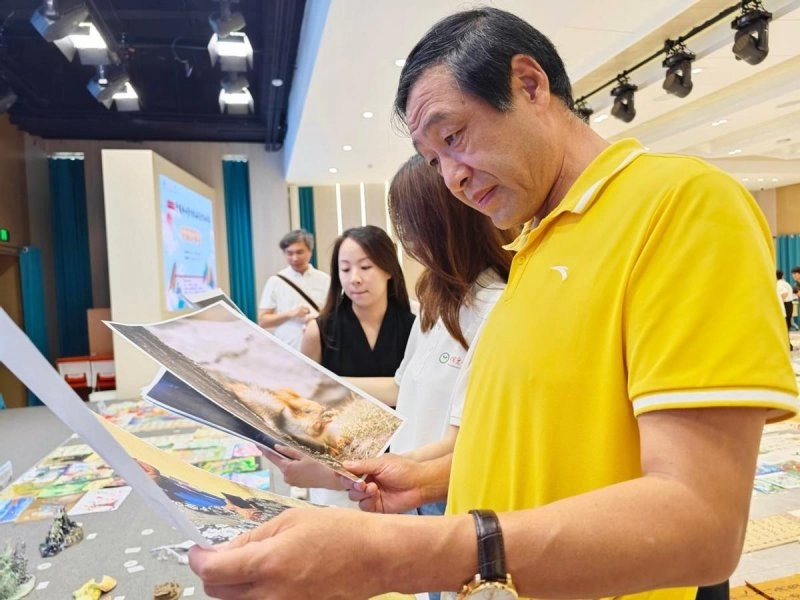 第二十七届全国中小学生绘画书法作品比赛专家评审会顺利召开(图11) 第二十七届全国中小学生绘画书法作品比赛专家评审会顺利召开(图11)