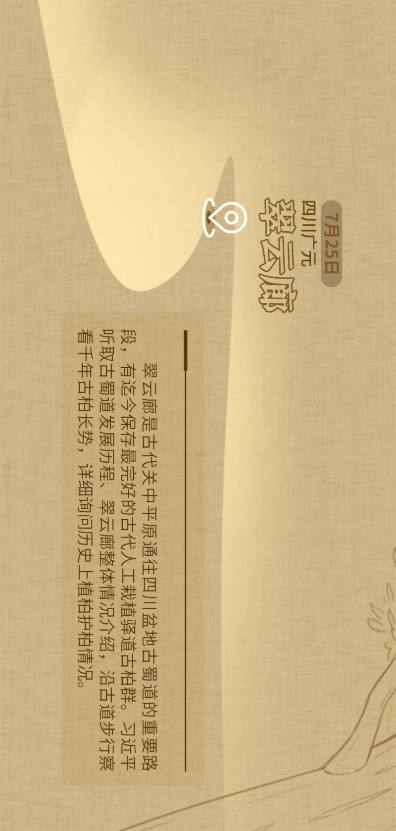 国风长卷｜2023，习近平总书记的文化足迹(图12)