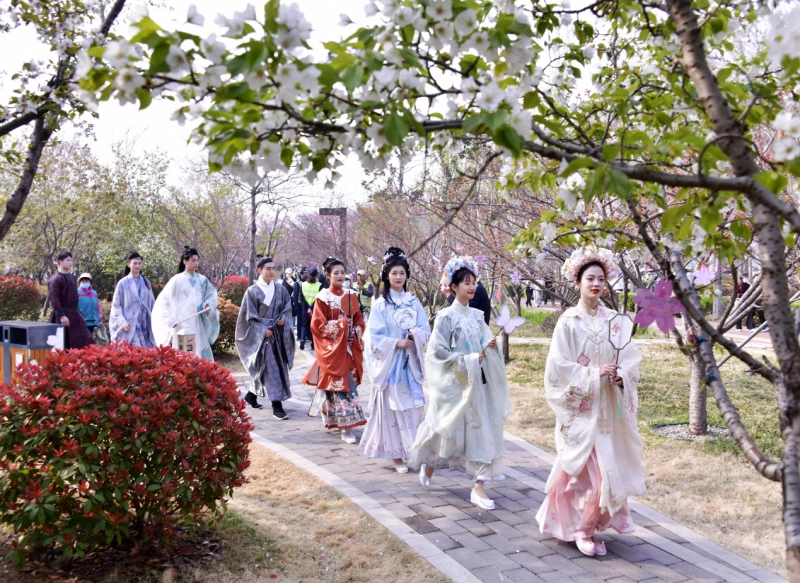 “鹤舞樱飞 向新而行”——第十届中国(鹤壁)樱花季华美启幕(图3) “鹤舞樱飞 向新而行”——第十届中国(鹤壁)樱花季华美启幕(图3)