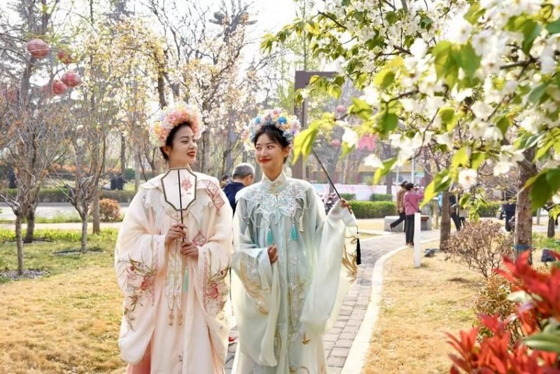 清明假期中国(鹤壁)樱花季向新而行(图5) 清明假期中国(鹤壁)樱花季向新而行(图5)