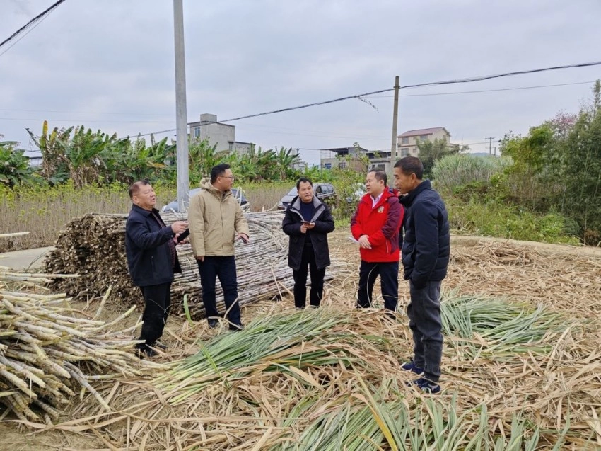 “共同体八桂行·柳州站”全媒体采访行动暨广西民族报社签约作家座谈会在柳州圆满举行(图9) “共同体八桂行·柳州站”全媒体采访行动暨广西民族报社签约作家座谈会在柳州圆满举行(图9)