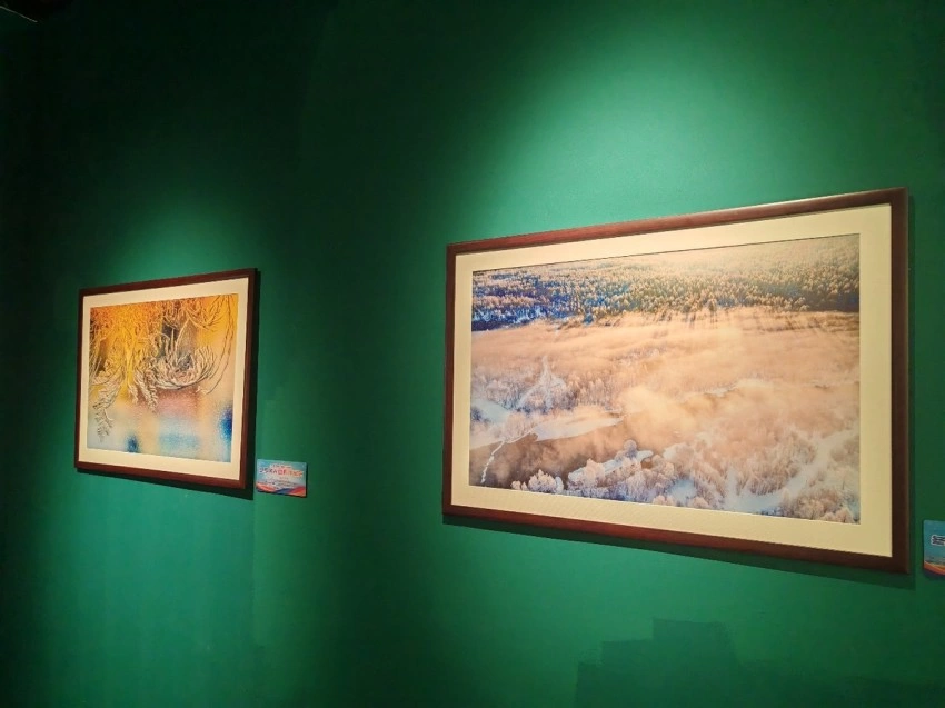 “大美伊春·魅力丰林”冬季风光摄影作品展首次走进春城昆明(图4) “大美伊春·魅力丰林”冬季风光摄影作品展首次走进春城昆明(图4)