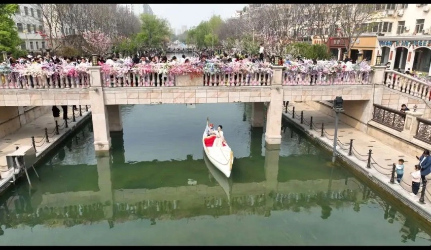 “淇水滺滺,桧楫松舟”“淇水汤汤,渐车帷裳”“瞻彼淇奥,绿竹猗猗”…… 《诗经·卫风》中的淇河之畔,如今正上演着一场跨越三千年的浪漫邂逅。每年4月上旬,鹤壁市淇滨区华夏南路两侧的数万株樱花次第绽放,形成独特的春日盛景。 这座因 “仙鹤栖于南山峭壁” 而得名的城市,正以樱花为纽带,向世界递出了一张“诗画鹤壁”的文旅新名片。 花开正盛!这朵“花”早已火了上千年 每到春天,最令人期待的事莫过于赏(图5) 鹤壁市淇滨区:樱花树下品《诗经》 奏响千年“诗樱和弦”(图5)