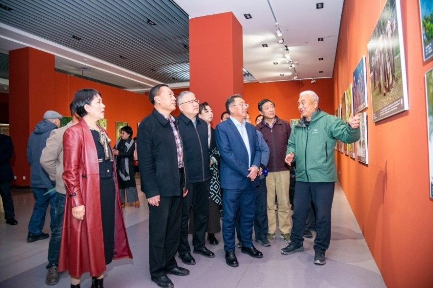 万物共生 和美家园——中国野生动物摄影作品巡展在乌海启幕(图5) 万物共生 和美家园——中国野生动物摄影作品巡展在乌海启幕(图5)
