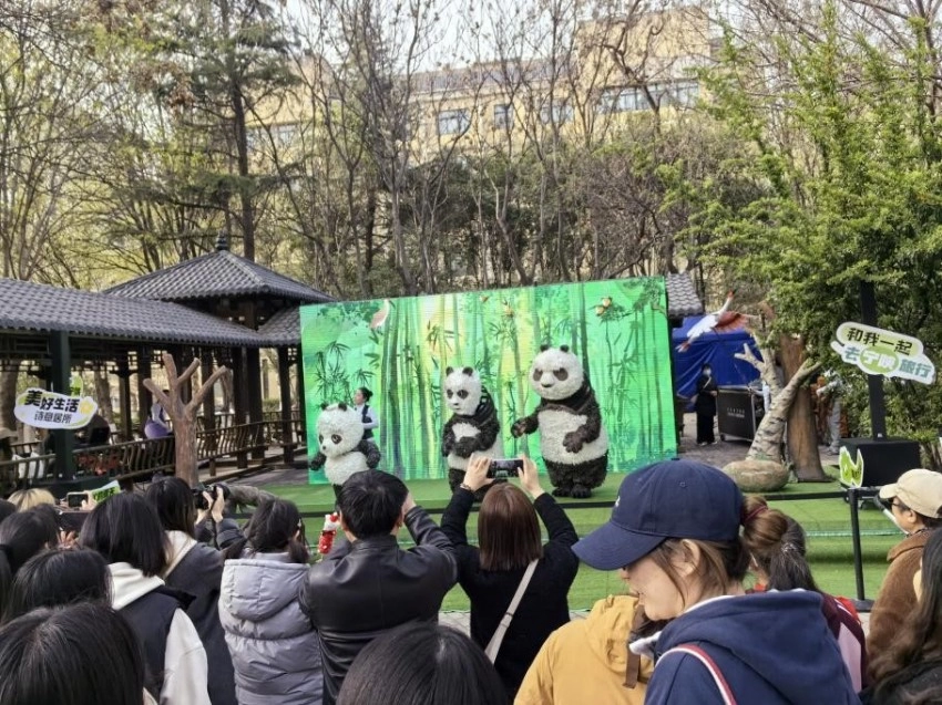 当青春遇上美景 探秘宁陕文旅的N种精彩(图5) 当青春遇上美景 探秘宁陕文旅的N种精彩(图5)
