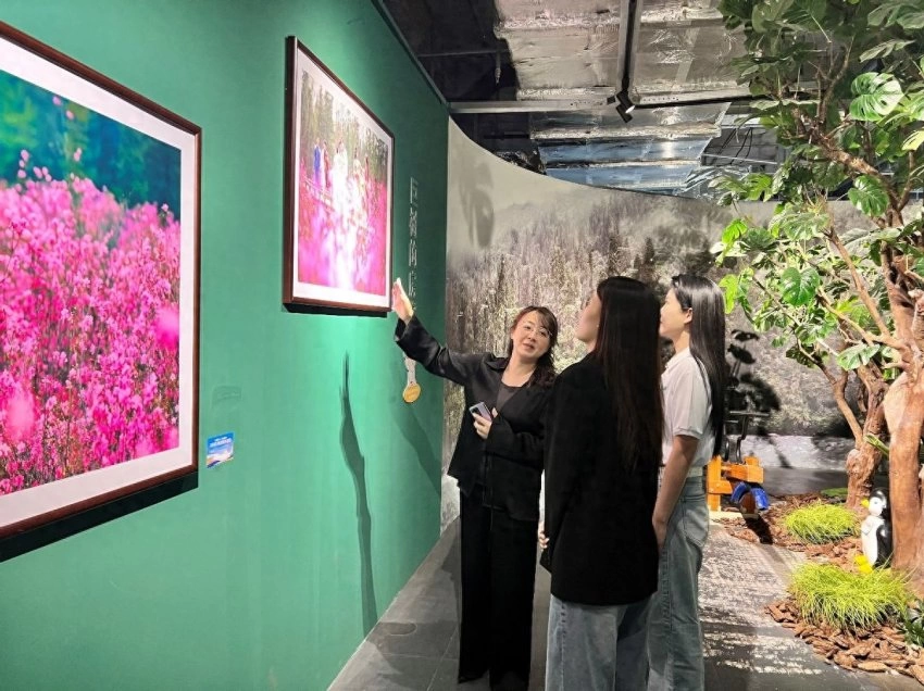 展示丰林四季旅游资源,“大美伊春·魅力丰林”四季风光摄影作品展上海站开幕(图1) 展示丰林四季旅游资源,“大美伊春·魅力丰林”四季风光摄影作品展上海站开幕(图1)