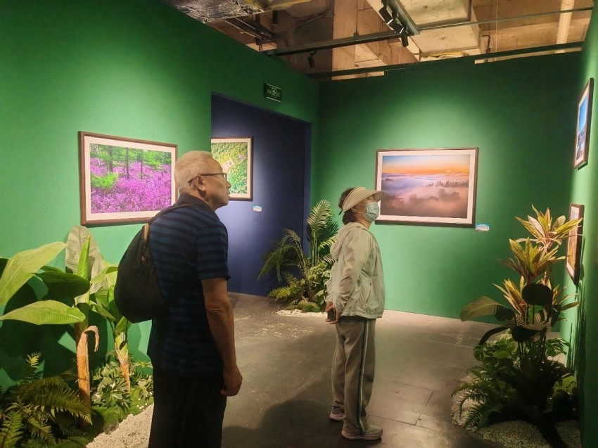 展示丰林四季旅游资源,“大美伊春·魅力丰林”四季风光摄影作品展上海站开幕(图3) 展示丰林四季旅游资源,“大美伊春·魅力丰林”四季风光摄影作品展上海站开幕(图3)