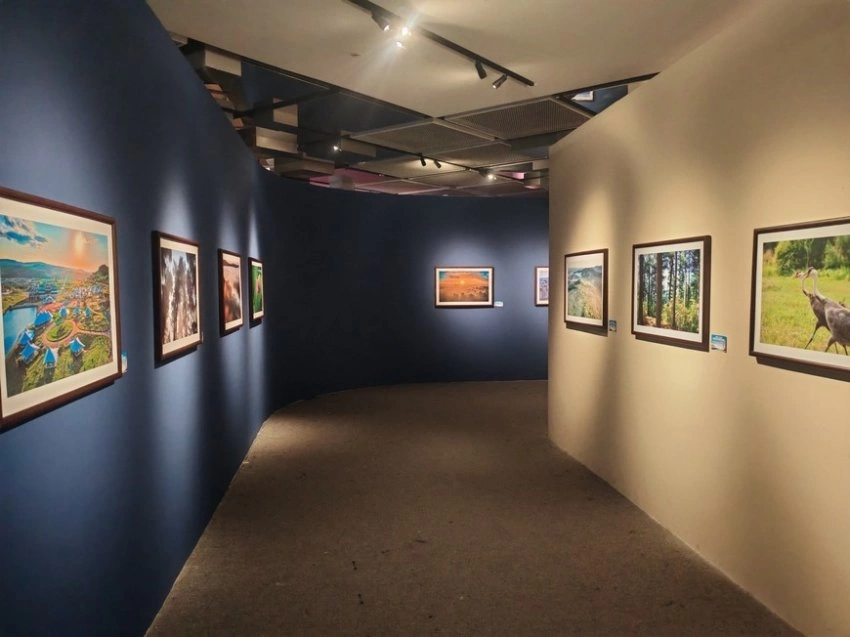 “大美伊春·魅力丰林”四季风光摄影作品展走进成都(图3) “大美伊春·魅力丰林”四季风光摄影作品展走进成都(图3)